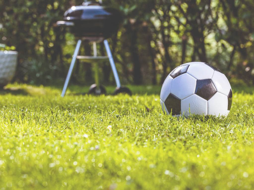 Sport & Spielrasen