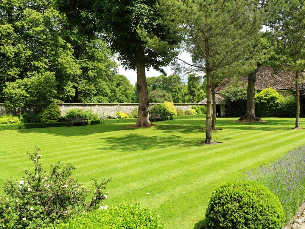 Zierrasen im Garten
